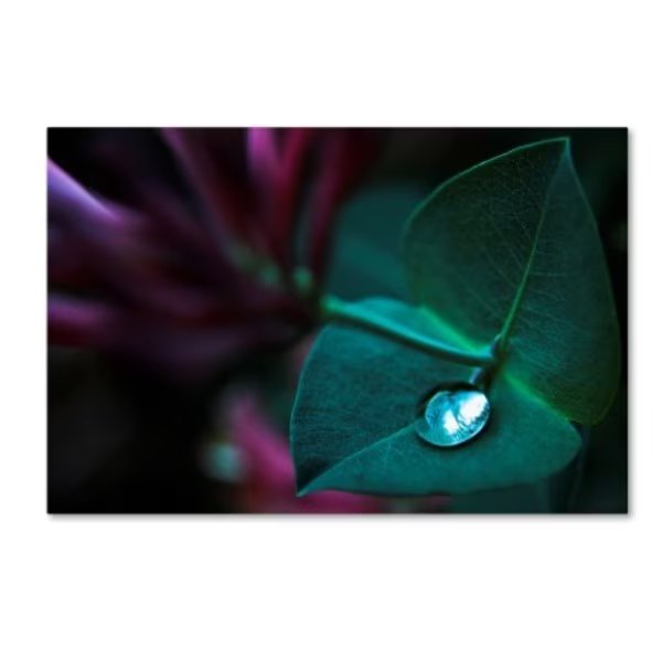 Dragan Jovancevic 'In Good Hands' Canvas Art, 16x24, Trademark Fine Art, Mfr#: 1X00112-C1624GG